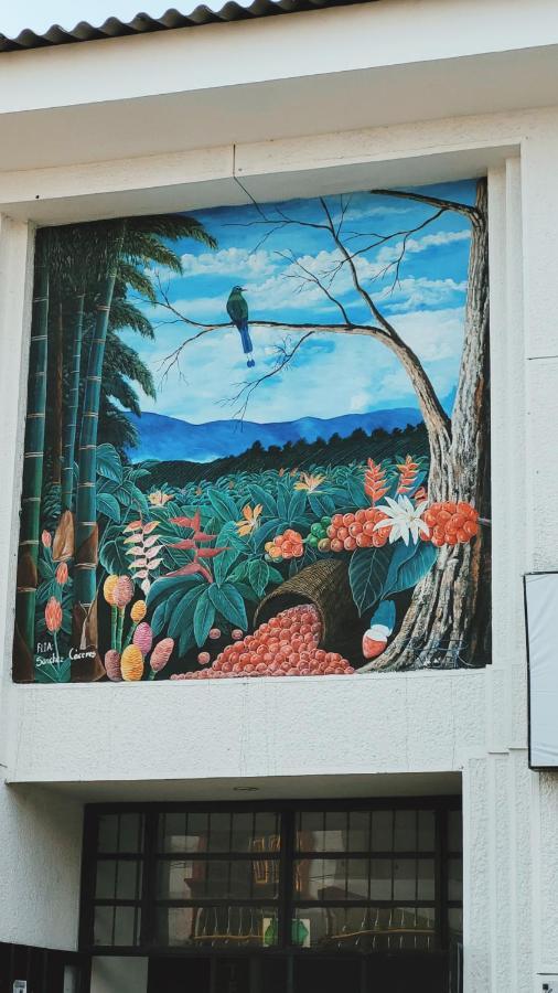 Apartment En El Quindio Cerca Al Parque Del Cafe *