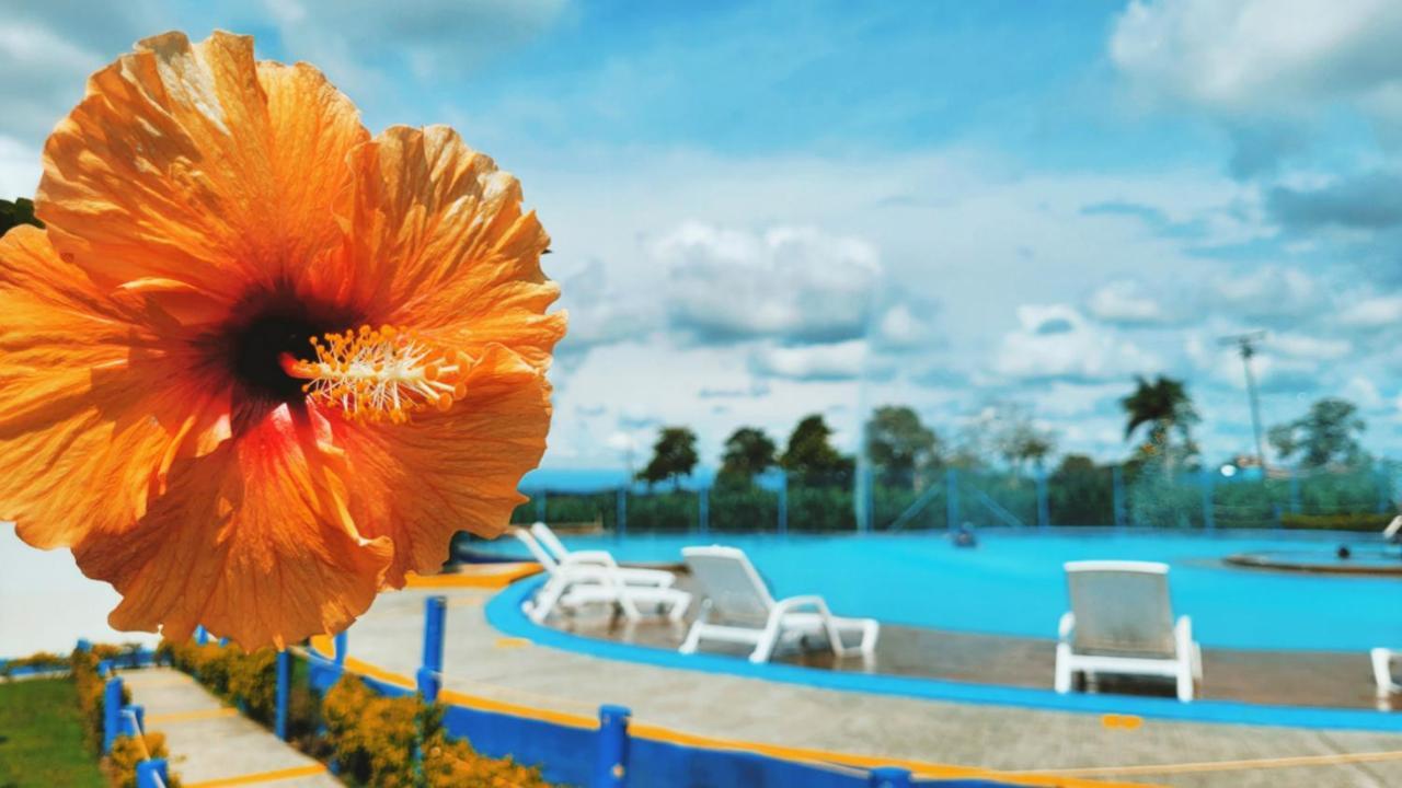 En El Quindio Cerca Al Parque Del Cafe Apartment